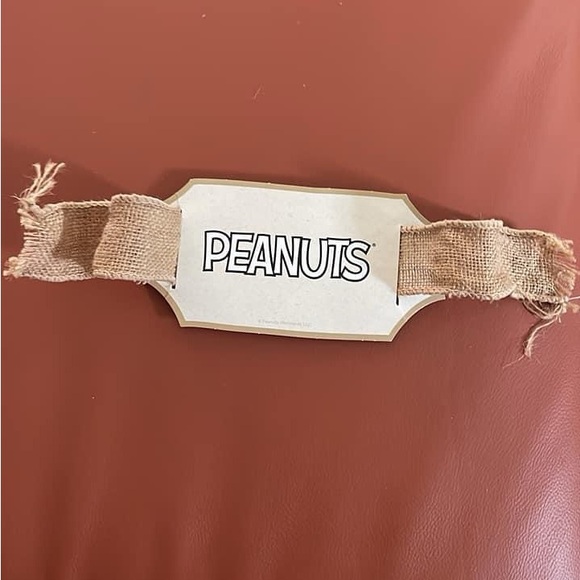 Peanuts 2016 Hallmark Display cardboard from ornament premiere/debut displays. - Picture 6 of 8